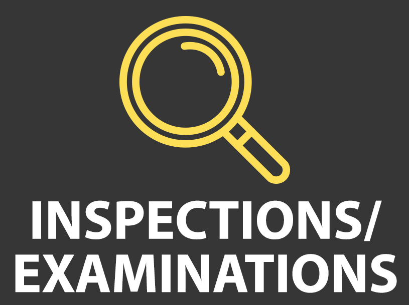 TWS Inspections icon